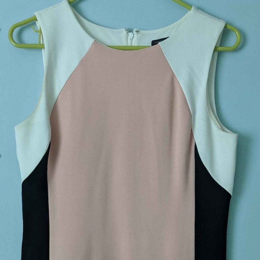 Ann Taylor Dress